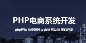 零基础学习php电商系统shopnc 二次开发视频教程下载－449元